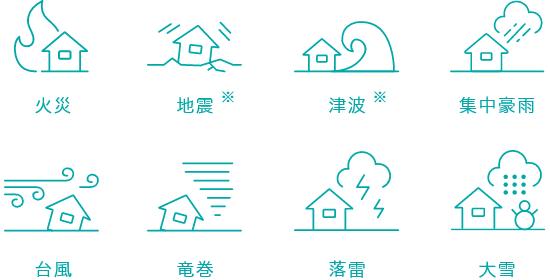 火災 地震 津波 集中豪雨 台風 竜巻 落雷 大雪